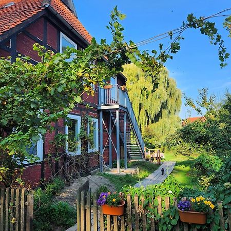 Hof Kuma Appartement Uelzen Buitenkant foto