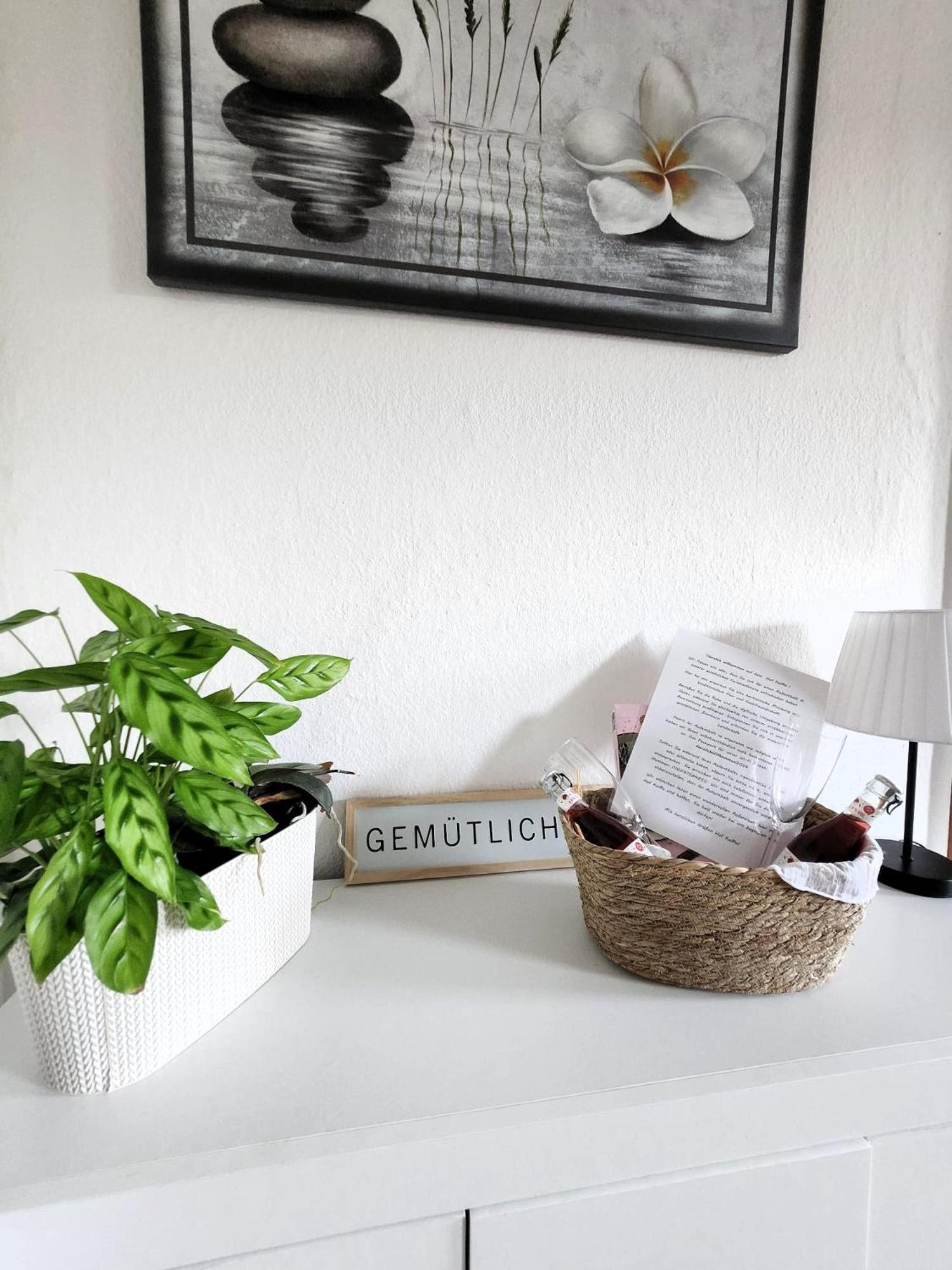 Hof Kuma Appartement Uelzen Buitenkant foto
