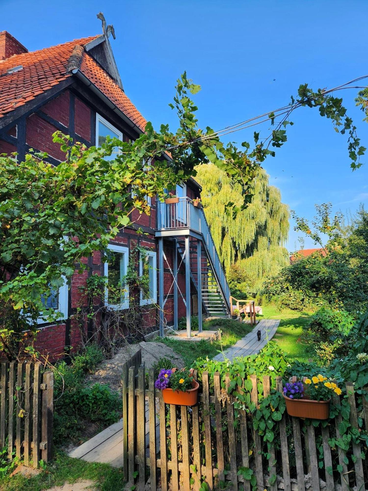 Hof Kuma Appartement Uelzen Buitenkant foto